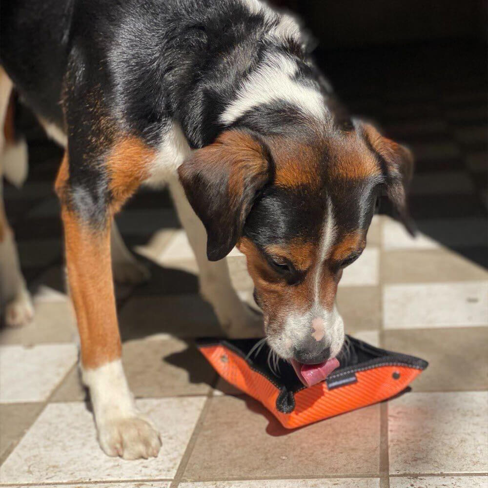 Outdoor-Wassernapf “Knut” – perfekt für Hunde beim Wandern & Reisen.