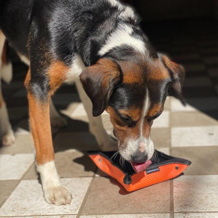 Outdoor-Wassernapf “Knut” – perfekt für Hunde beim Wandern & Reisen.