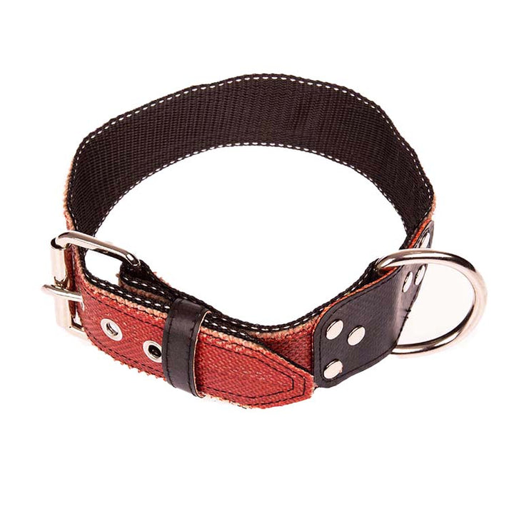 5cm breites XXL Hundehalsband für große  Hunde. Anfertigung auch aus Maß