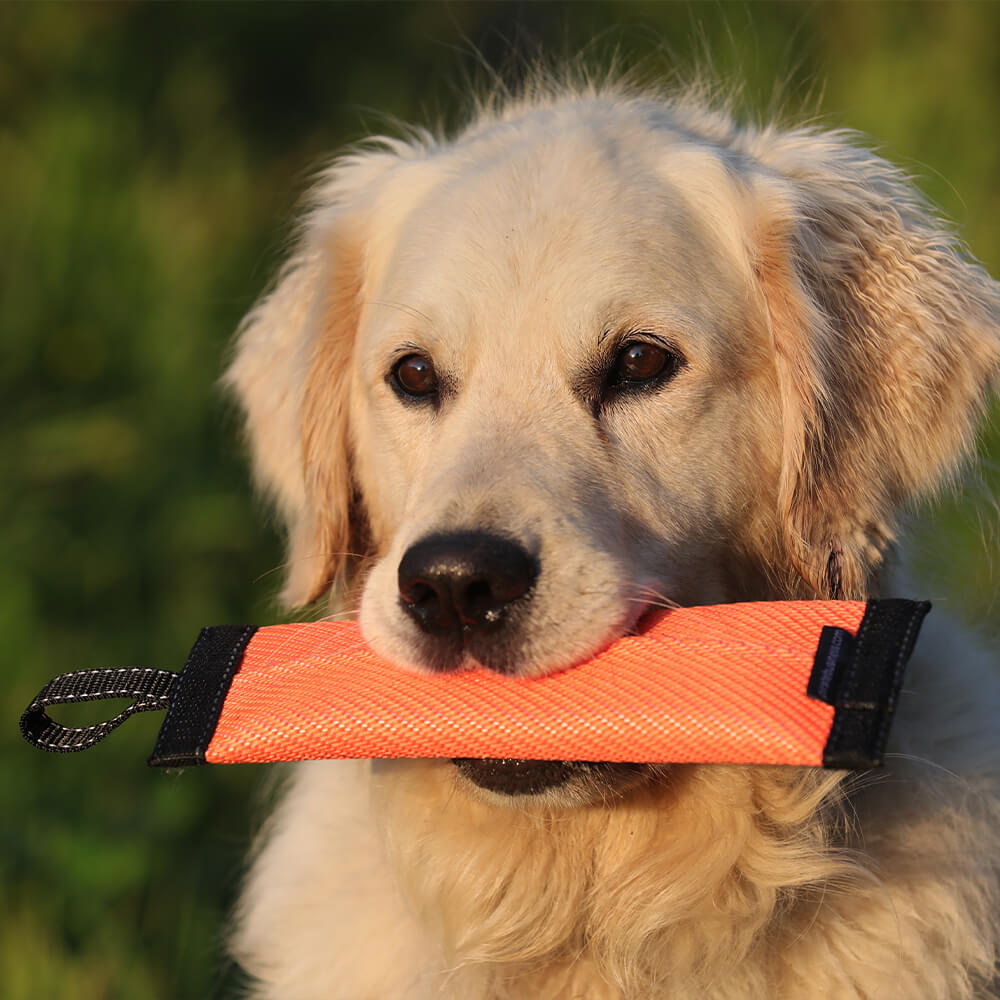 Futterdummy aus Feuerwehrschlauch mit robuster Wurfschlaufe für abwechslungsreiches Hundetraining.