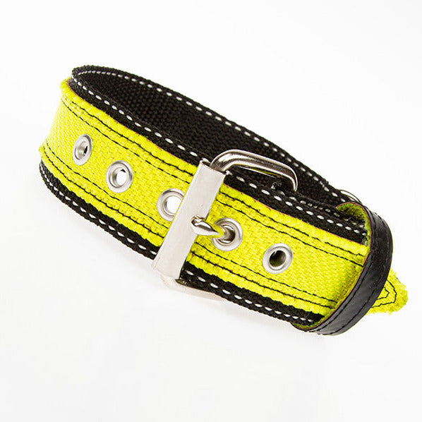 Extrem robustes Hundehalsband aus Feuerwehrschlauch – ideal für starke Hunde.