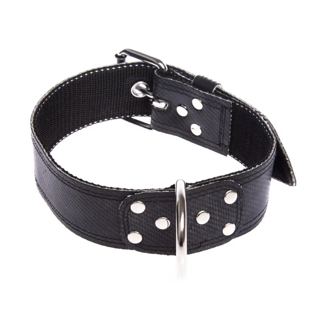 Sicheres und stabiles Feuerwehrschlauch-Halsband – maßgeschneidert für Deinen Hund.