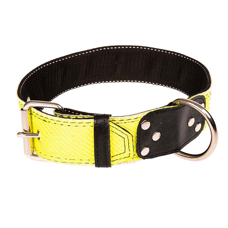 Custom-Hundehalsband aus Feuerwehrschlauch – stabil, langlebig und perfekt passend.