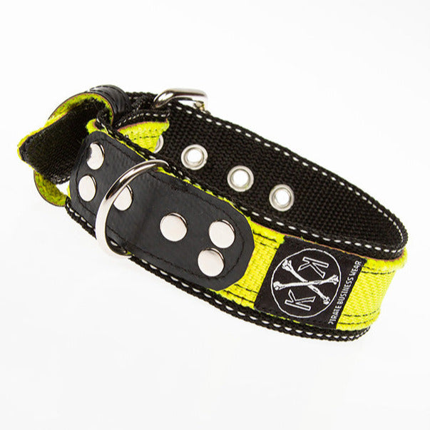 Punkiges Design trifft Funktionalität – das Halsband „Emma elegant“ für coole Hunde.